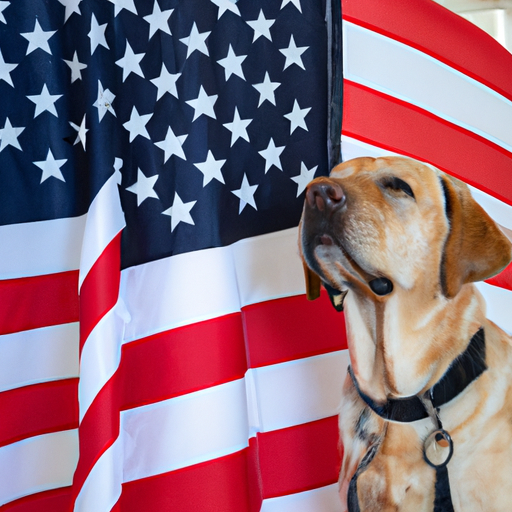 Introduction-Get the Facts - Is American Service Pets Legit?